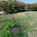Kleppendoos-rond-zwart-Irritec-3.png thumbnail