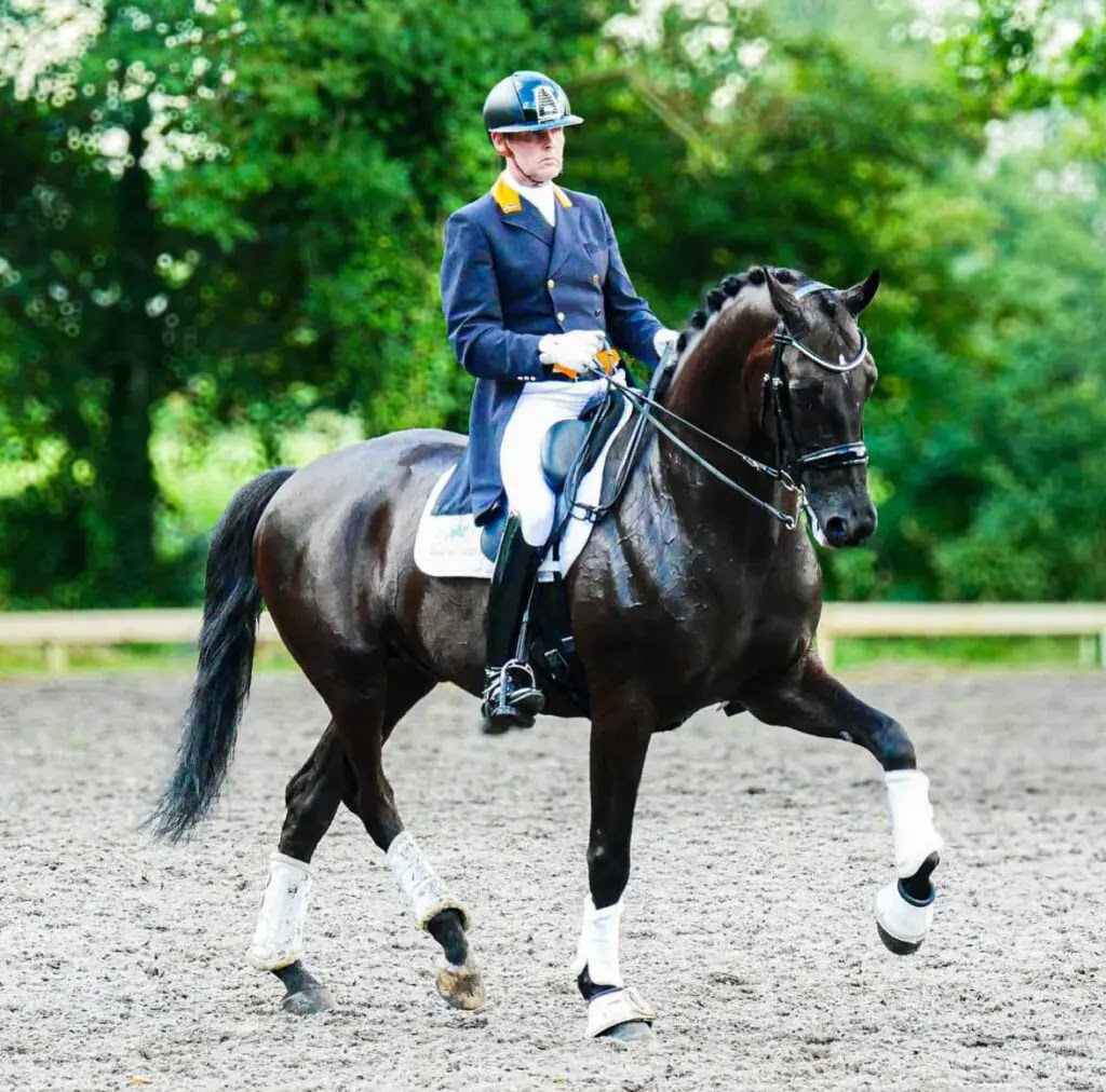 Drainage voor paardenbak PVCVoordeel